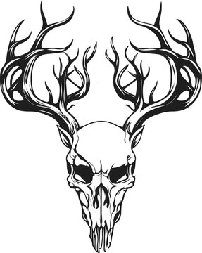 deer skull with horns isolated vector illustration