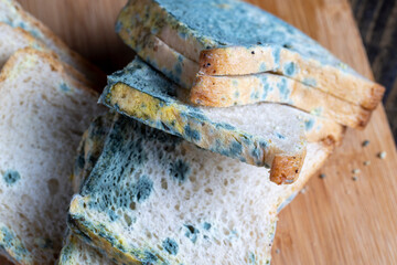 spoiled mold-covered dangerous pieces of bread