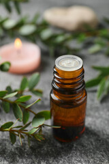 Bottle of eucalyptus essential oil and plant branches on grey table