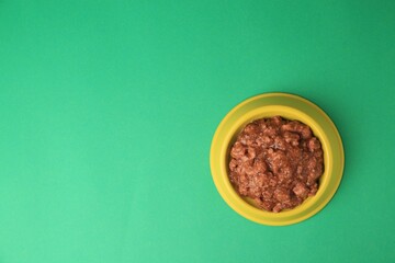 Wet pet food in feeding bowl on green background, top view. Space for text