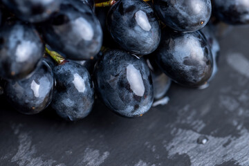 sweet ripe black grapes covered with drops of water