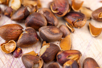 a bunch of pine nuts in the shell