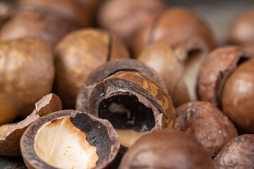 Unpeeled macadamia nuts on the table