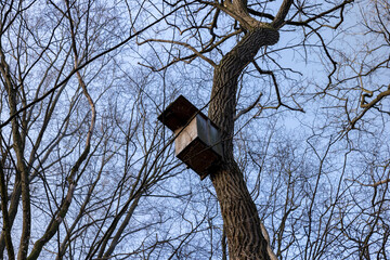 wooden birdhouse on tree branches in the spring season