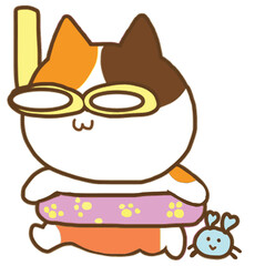 Cat on the beach in summertime