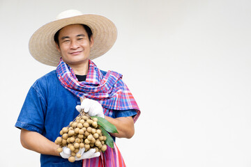 Portrait of happy Asian man farmer is at orchard, wears hat, blue shirt, holds longan fruits  feels...