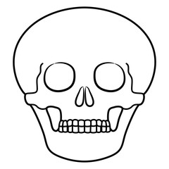 Human skull. Black and white linear silhouette. Isolated vector illustration. Spooky Halloween symbol of death. Dead head.