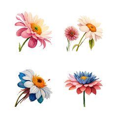 Collection of drawn watercolor flowers