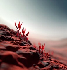 small  flower sprouting on the edge of a mountain of mars 