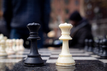 chess pieces on a chessboard