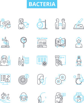 Bacteria vector line icons set. Bacterium, Microbe, Pathogen, Streptococcus, Salmonella, Ecoli, Staphylococcus illustration outline concept symbols and signs