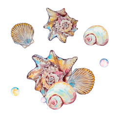 Watercolor colorful underwater life illustration