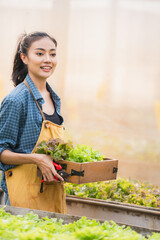 Basket with fresh vegetables, Asian farmer woman holding wooden box full of raw vegetables in the local farm or green house of Thailand, organic food by harvest in agriculture business concept