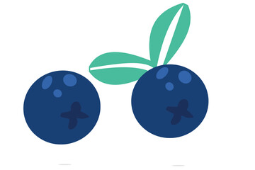 Doodle fruits. Natural tropical fruit, blueberries doodles, organic fruits or vegetarian food. Vector isolated icons illustration.