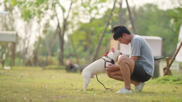 Asian man playing with French bulldog breed at pets friendly dog park. Domestic dog with owner enjoy urban outdoor lifestyle in the city on summer vacation. Pet Humanization and pet parents concept.