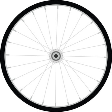 bicycle wheel vector image