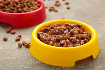 Wet and dry pet food in feeding bowls on light background.