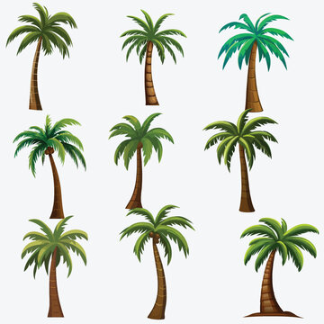 Vector Illustrations of Palm Trees in Multiple Variants, Isolated on a White Artboard