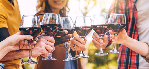 Six red wine glasses touching in a horizontal photo, symbolizing a multiracial gathering in the...