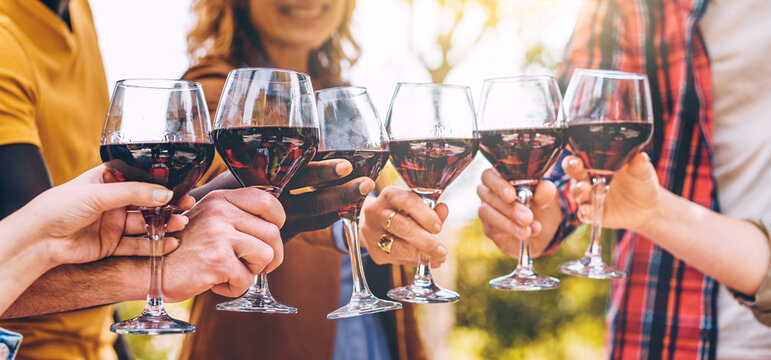 Six red wine glasses touching in a horizontal photo, symbolizing a multiracial gathering in the countryside during summer, possibly a picnic or friends' reunion.