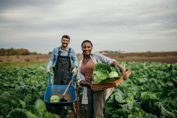 Portrait of two diverse farm workers standing in the cabbage field and looking into a camera.