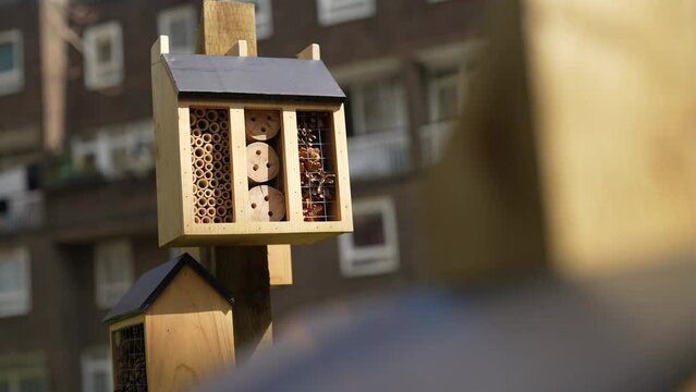 Slow motion shot of Bee housees 