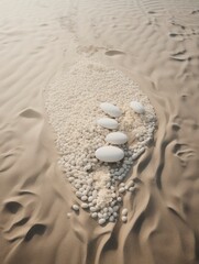 Fototapeta na wymiar Pebbles and white birds on the sand at the beach.