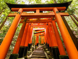 Dramatic view of walking in red gates "Torii", Fushimi Inari Shinto shrine in Kyoto in Japan, Travel or Trip	