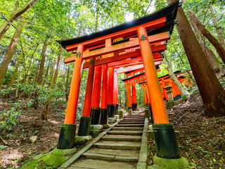 Dramatic view of walking in red gates "Torii", Fushimi Inari Shinto shrine in Kyoto in Japan, Travel or Trip