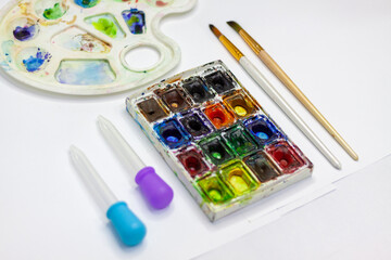 Artist’s Watercolor Paints and Brushes Set