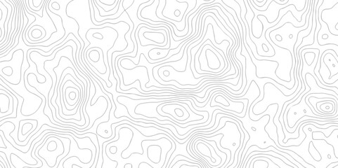 Abstract topographic contours map background, Topography map background. Vector geographic contour map. Topographic map and landscape terrain texture grid. Abstract white topography vector background.