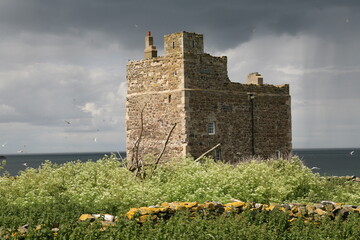 View of Inner Farne Island - Northumberland - England - UK