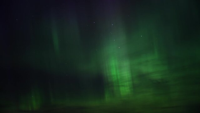 The Northern Lights exploding with bright green, purple and blue colors on the night sky. Timelapse. 