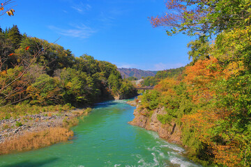 Fototapeta na wymiar 1 Nov 2013 Sho river, main river at Shirakawa village in summer.