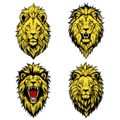  lion vector design on white background