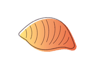 貝がらの線画手書きベクターイラスト／グラデーション