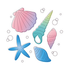 貝がらやヒトデの線画手書きベクターイラスト／グラデーション