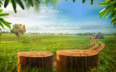 Tree Table wood Podium in the farm, a stand of display for food, perfume, and other products on nature background, Table in a farm with grass, Sunlight at morning