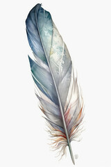 Watercolor style feathers.
