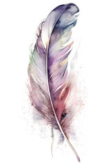 Watercolor style feathers.