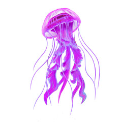 Purple pink jellyfish © Совгіра Марина