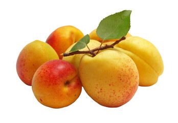 Fototapeta na wymiar Fresh apricots isolated 