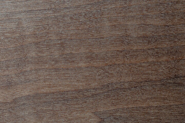 Obraz premium Dark wood texture template with natural pattern, closeup. Empty arboreal background