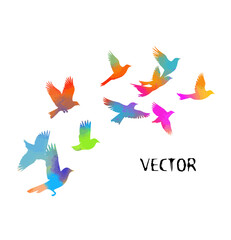 A flock of flying colored birds. Vector illustration