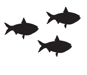 illustration of a shark