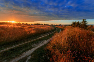 Rural road in green grass and orange summer sunset.