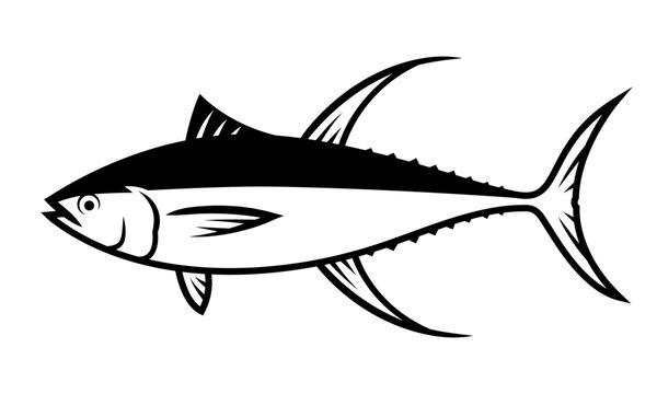 recommend clip art: Tuna fish drawing with black blush lines, aquatic animal illustration on white background.