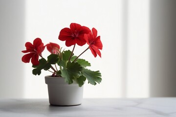 AI Generative Captivating Simplicity A Minimalist's Dream through the Lens