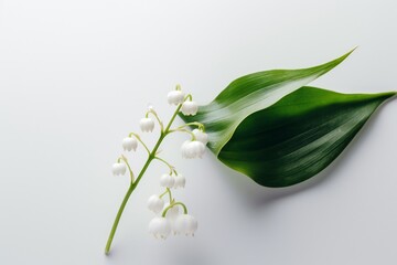 AI Generative Captivating Simplicity A Minimalist Take on the Lily of the Valley