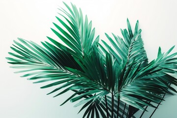 AI Generative Embrace Simplicity Stunning Palm Leaf Minimalism